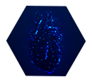 凯发·k8(国际)-官方网站